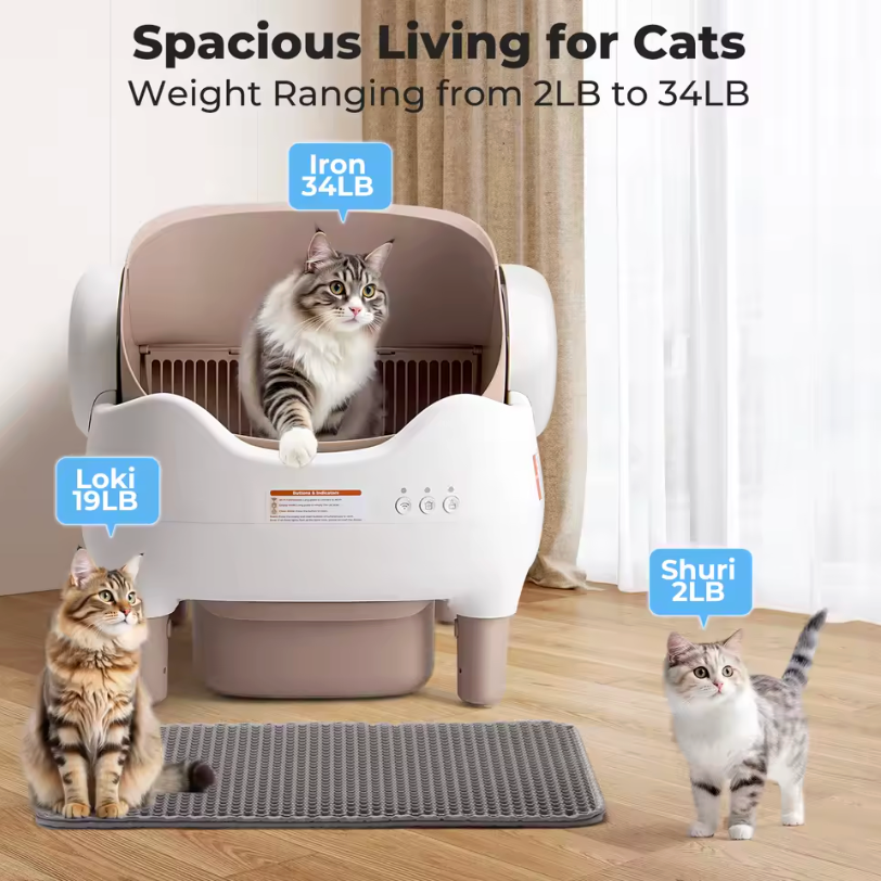 Automatic Self Cleaning Litter Box